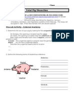 The Anatomy of The Fetal Pig