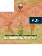 Ley Indígena 19253