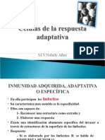 Células de La Respuesta Adaptativa