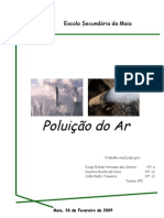 Poluição Do Ar