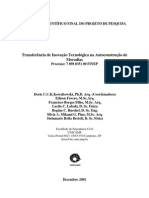 Relatório Científico Final Do Projeto de Pesquisa - Titam