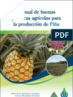 Manual de BPA Cultivo de Piña