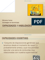 Capacidades y Habilidades