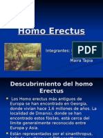 Homo Erectus