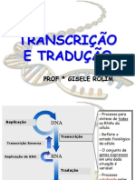 Transcrição e Tradução