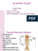 Wawa - Sistem Saraf Pusat