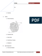 Reproductive System Student Notes Outline