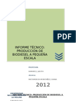 INFORME TÉCNICO - Biodiesel