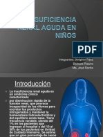 Insuficiencia Renal Aguda en Niños