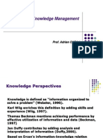 Knowledge Management: Prof. Adrian CURAJ