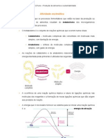 Fermentação e Atividade Enzimática