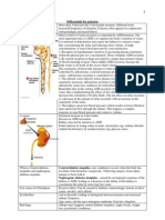 Differentials For Polyuria