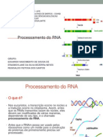 Processamento Do RNA