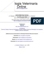 Pathol Vet 1970 Moulton 289 320