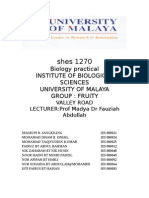 Lab Report Group 3