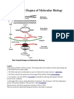 The Central Dogma of Molecular Biology: Legend