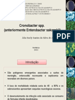 Apesentação (Cronobacter Sakazakii)