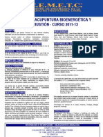 Experto en Acupuntura Bioenergetica y Moxibustion PDF