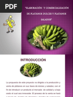 Empresa de Platanos