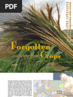 Forgotten Crops