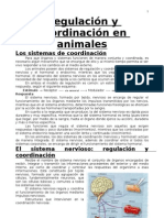 Regulación y Coordinación en Animales