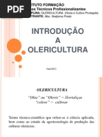 Introdução A Olericultura PDF