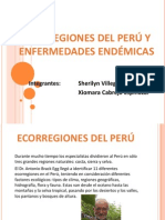 Ecorregion y Enfermedades Endemicas