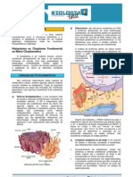 TeoriaCitoplasma PDF