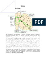 Ekg FP