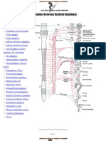 Autonomic Nervous System Summary Notes