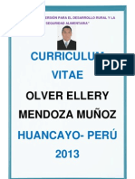 Curriculum Vitae Actualizado Olver 2013