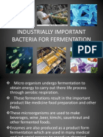 Industrially Important Bacteria For Fermentation