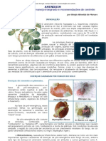 ... AMENDOIM - Principais Doenças, Manejo Integrado e Recomendações de Controle PDF