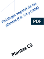 Plantas c3