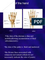 Anatomy of The Hand