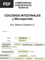 TEORIA 5 Coccidios y Microsporidium 2011