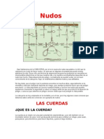 Nudos-Especialidad Desarrollada