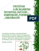 Plant As