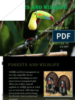 Forests and Wildlife