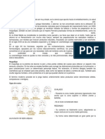 Cosmetologia Maquillaje Tipos de Rostro