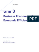 6EC03 Revision Unit 3: Business Economics and Economic Efficiency Notes