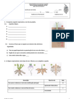 Ficha de Avaliação Sumativa CN - PLANTAS (5º)