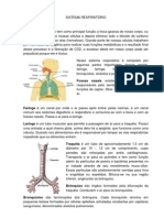 Sistema Respiratório