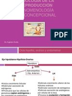 Fecundacinsegmentacineimplantacin 121206152556 Phpapp02