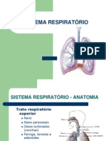 Asma e Pneumonia