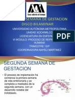 Segunda Semana de Gestacion Disco Bilaminar