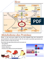 Bioquimica Metabolismo Proteinas