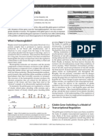 Globin Synthesis PDF