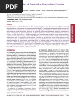 Adaptive Evolution of Foundation Kinetochore Proteins in Primates