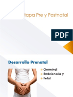 1) Etapa Prenatal (Desarrollo Físico) y Desarrollo Cognitivo